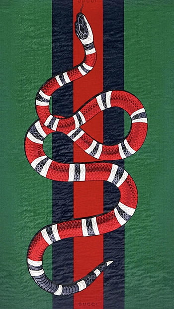 KANORA IMPRESSIONS GUCCI SNAKE Self Adhesive textured paper Laptop Decal 15  Price in India - Buy KANORA IMPRESSIONS GUCCI SNAKE Self Adhesive textured  paper Laptop Decal 15 online at Flipkart.com