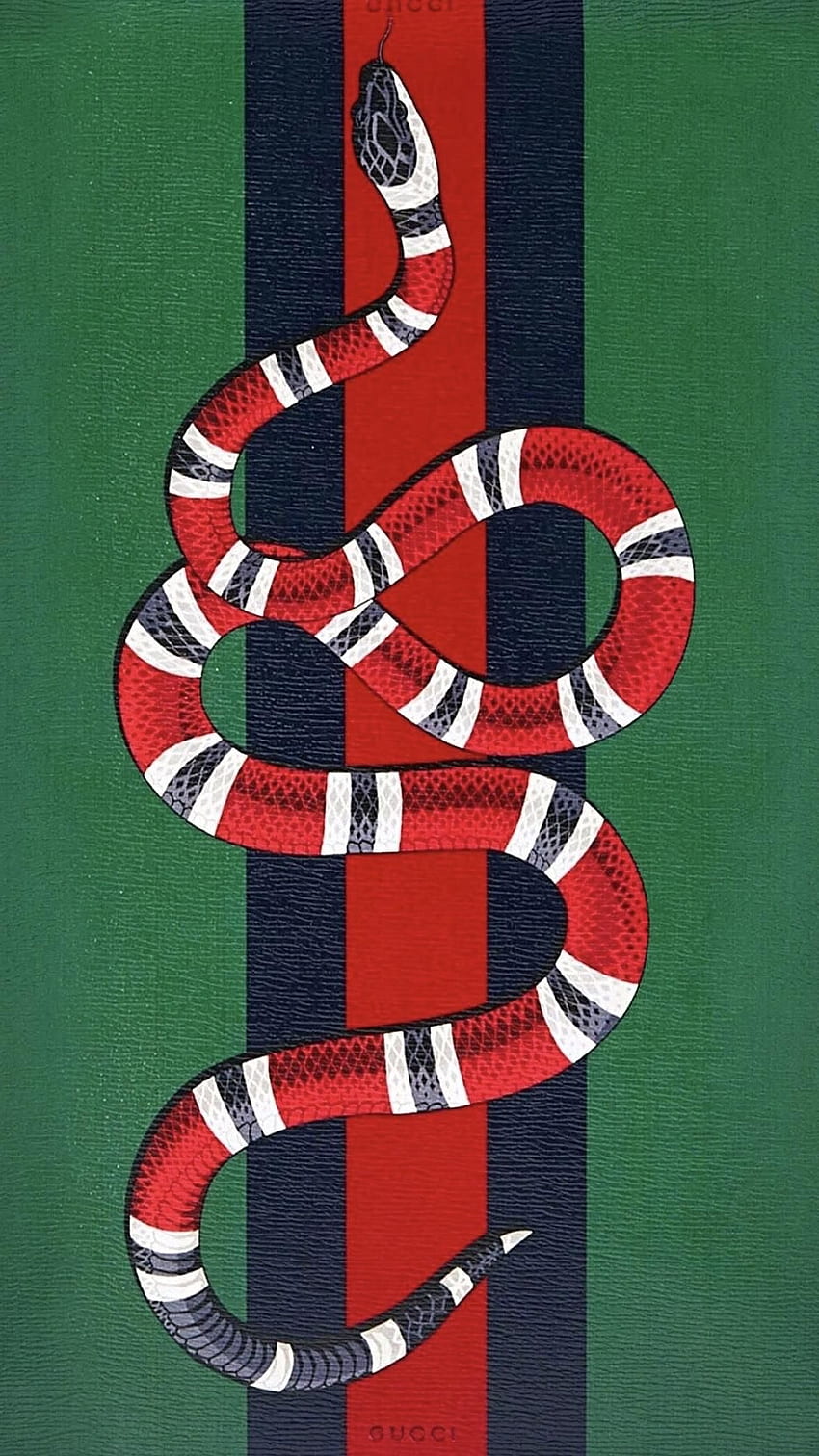 Gucci snake logo drawings stripes water snake HD phone wallpaper   Peakpx