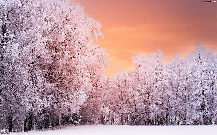 Pink Aesthetic Snow Landscape , Winter Aesthetic Laptop HD wallpaper
