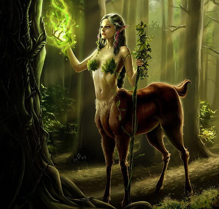 Centaur, magic, abstract, fantasy, , doe, girl, forest HD wallpaper