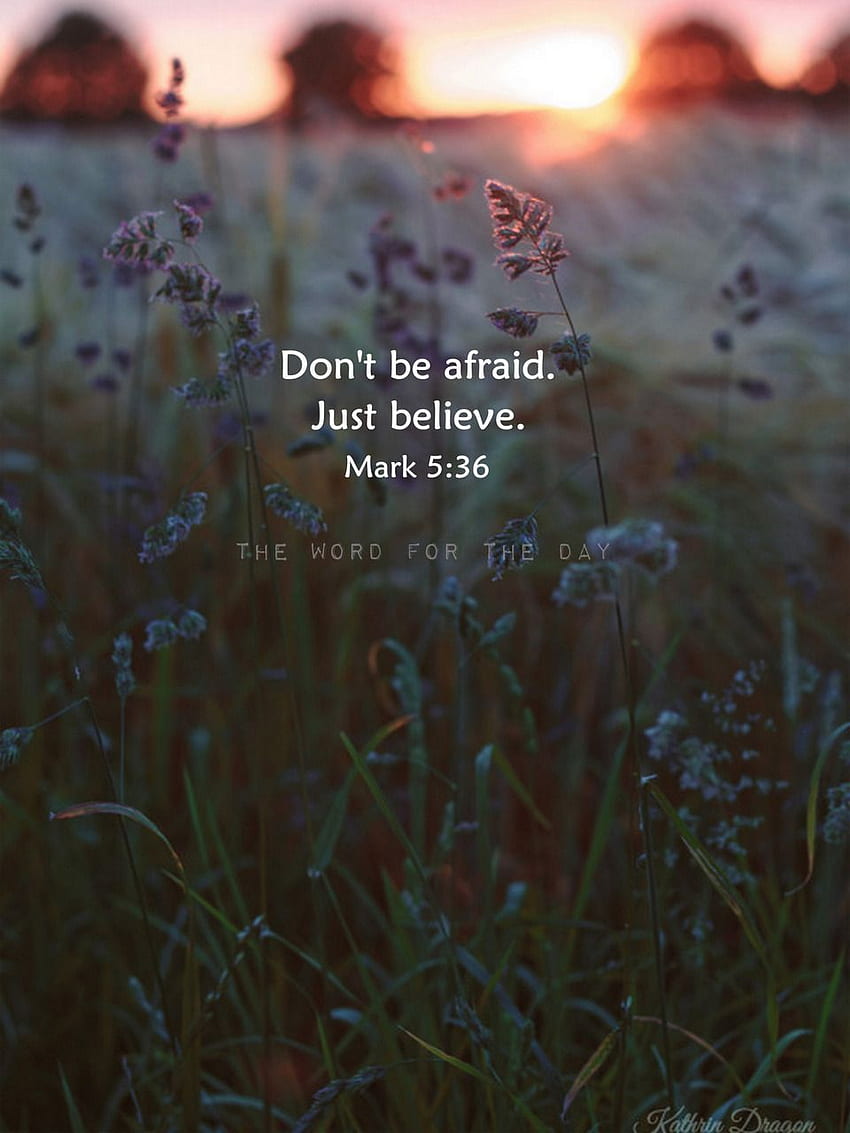 don-t-be-afraid-just-believe-quotes-do-not-be-afraid-hd-phone