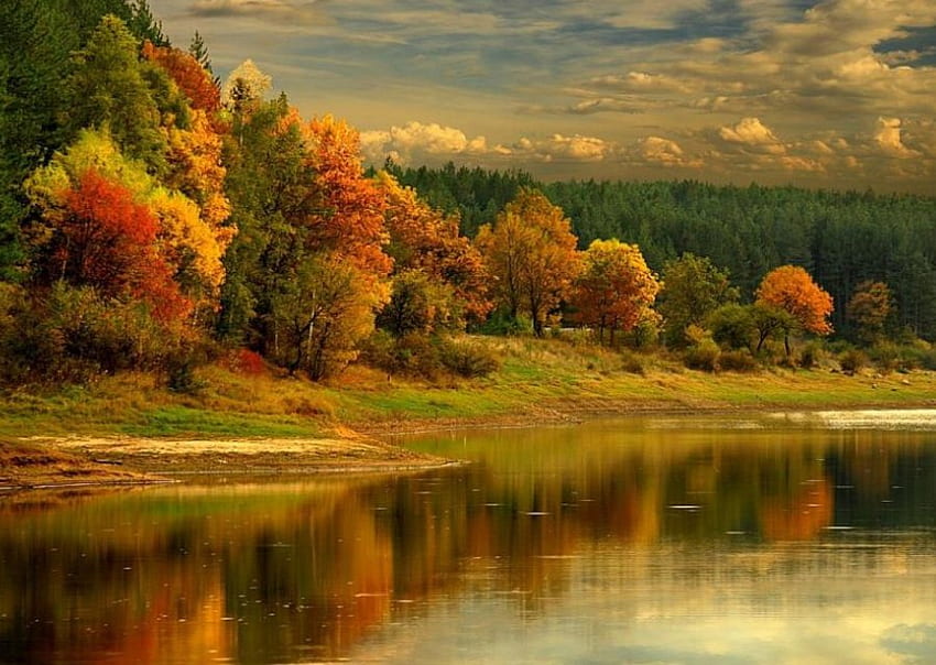 Golden River, river, nature HD wallpaper