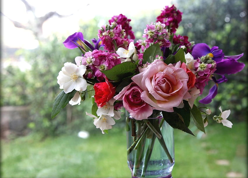 Kwiaty, róże, bukiet, okno, wazon, jaśmin Tapeta HD