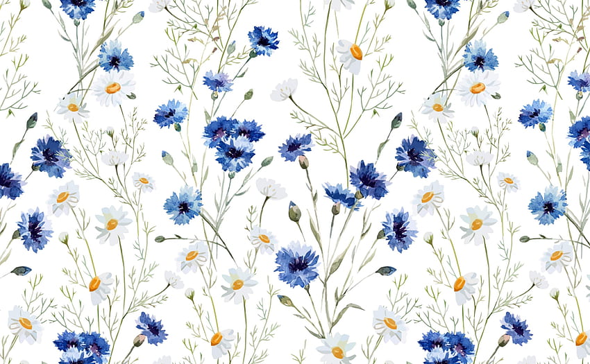 Airy Flower Pattern for Walls, Daisy Vintage HD wallpaper