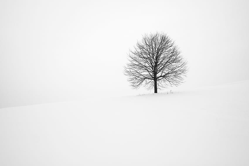 Winter, Snow, Wood, Tree, Minimalism, Bw, Chb HD wallpaper