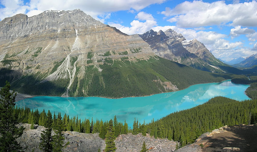 ธรรมชาติ ภูเขา ทะเลสาบ ต้นสน ป่า น้ำสีฟ้า ความบริสุทธิ์ เท้า วอลล์เปเปอร์ HD