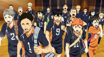 Is Haikyu Dubbed  9 Other Questions About Season 3 Answered