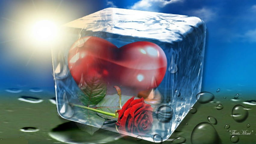 Bokek ice heart love mood . . 421614 HD wallpaper