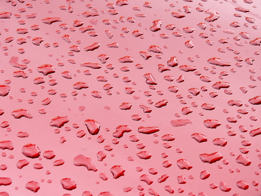 Regentropfen auf einem Blechschuppen, Grafik, Natur, Regentropfen, Schuppen, Zinn HD-Hintergrundbild