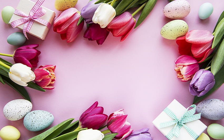 Easter frame, spring frame, pink background, tulips, Easter eggs, Happy Easter, spring, gifts HD wallpaper