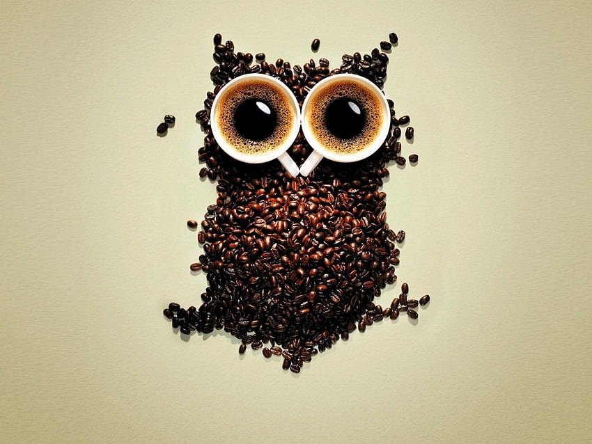 Coffee Beans Owl Art Resolution HD wallpaper