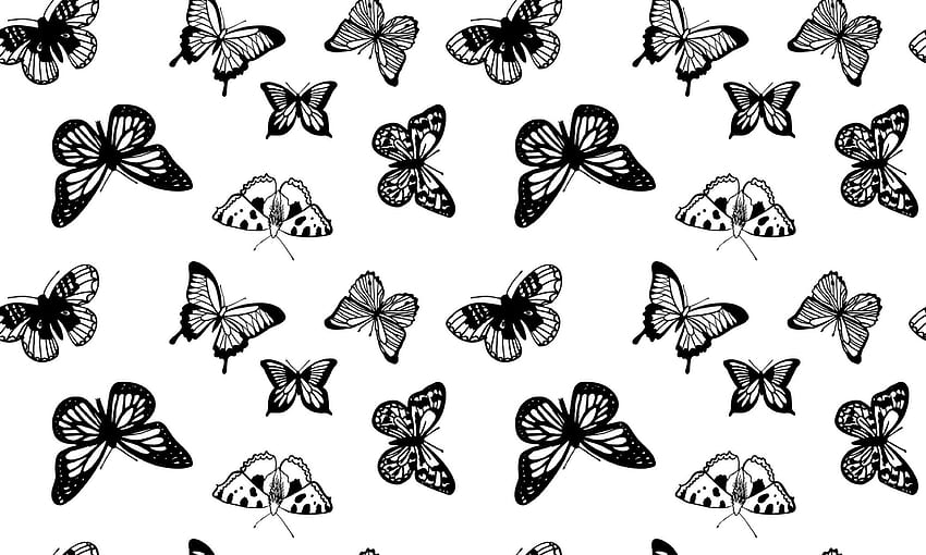 Black And White Butterflies, Small Butterfly HD wallpaper | Pxfuel