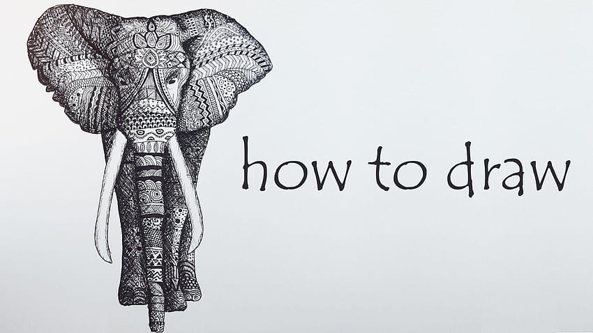 Elefantes Zentangle, Desenho de Elefante papel de parede HD