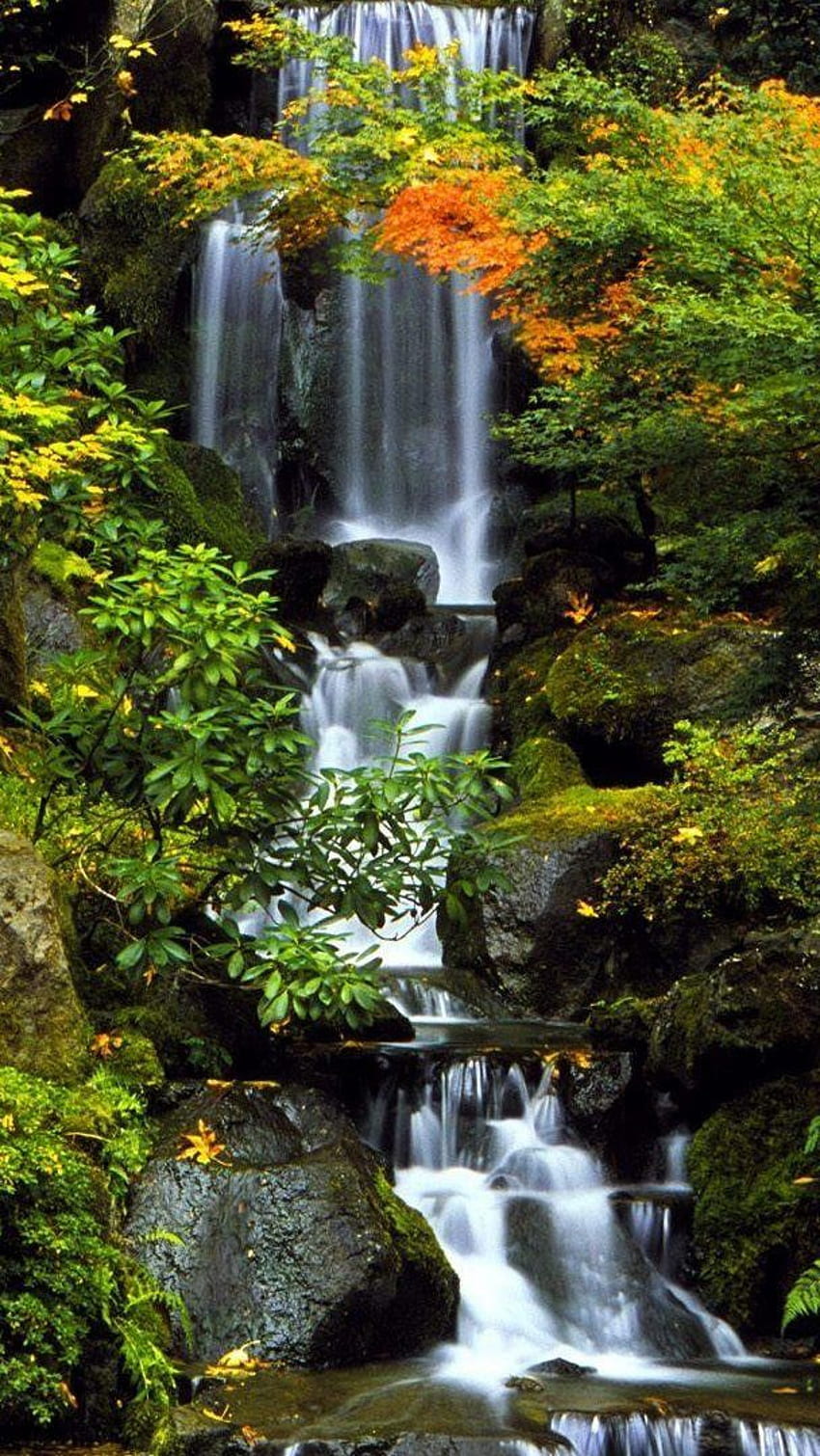 Cascade verte, plus verte, cascade, nature, japon Fond d'écran de téléphone HD