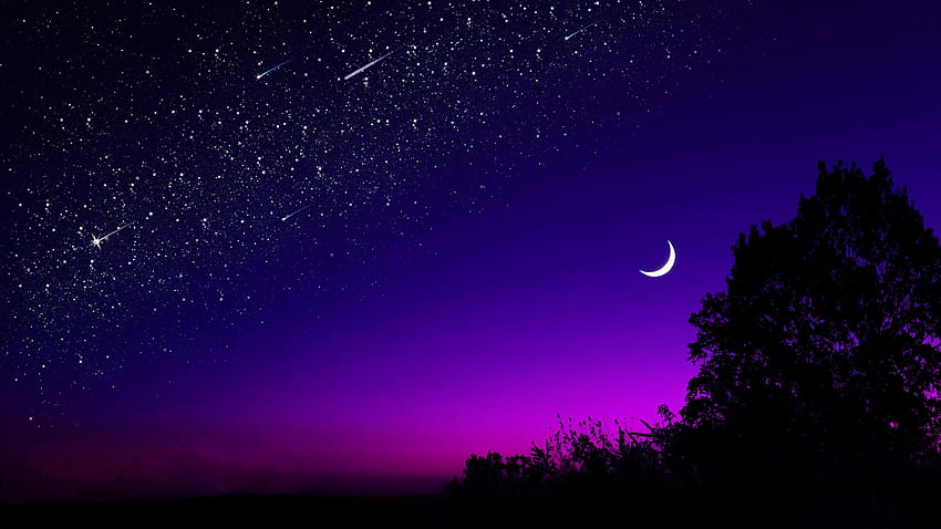 Gwiazdy, noc, księżyc, ciemność, drewno, drzewo, gwiaździste niebo Tapeta HD
