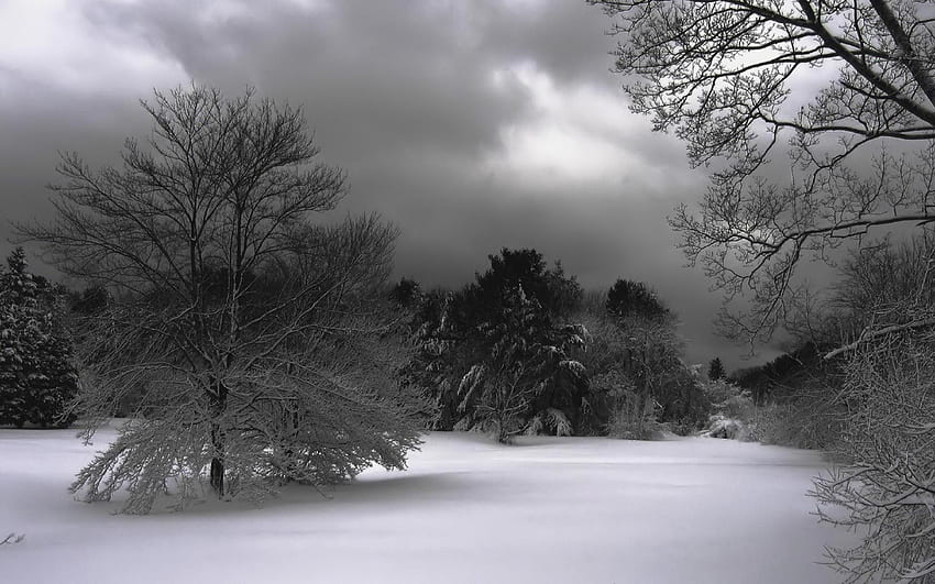 Weather White Snow Ice Storm Winter Best Of, Snow Storms Pretty HD wallpaper