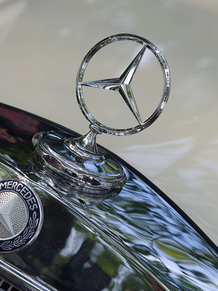 Mercedes Benz Logo Emblem Hood Cars Closeup, Mercedes-Benz Logo fondo de pantalla del teléfono