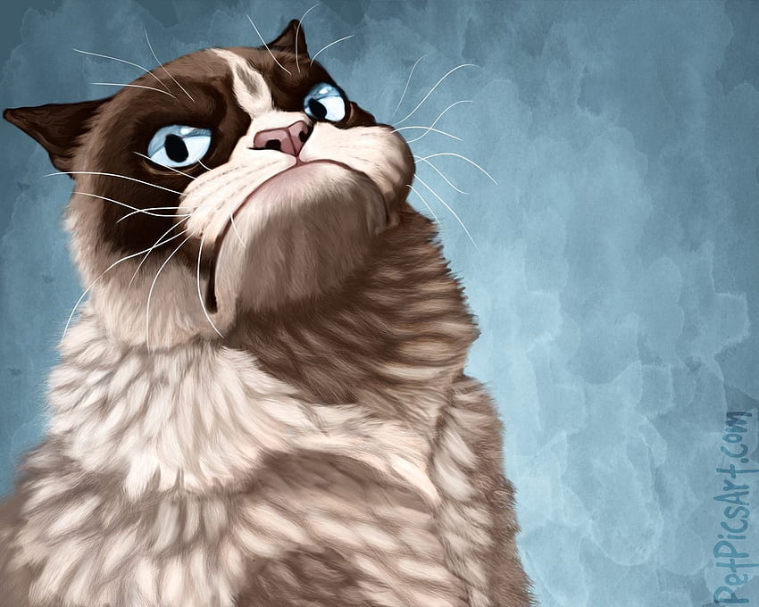 Grumpy Cat HD wallpaper