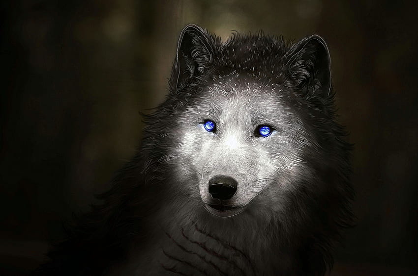 Blue Eyes, Blue Wolf Eye HD wallpaper