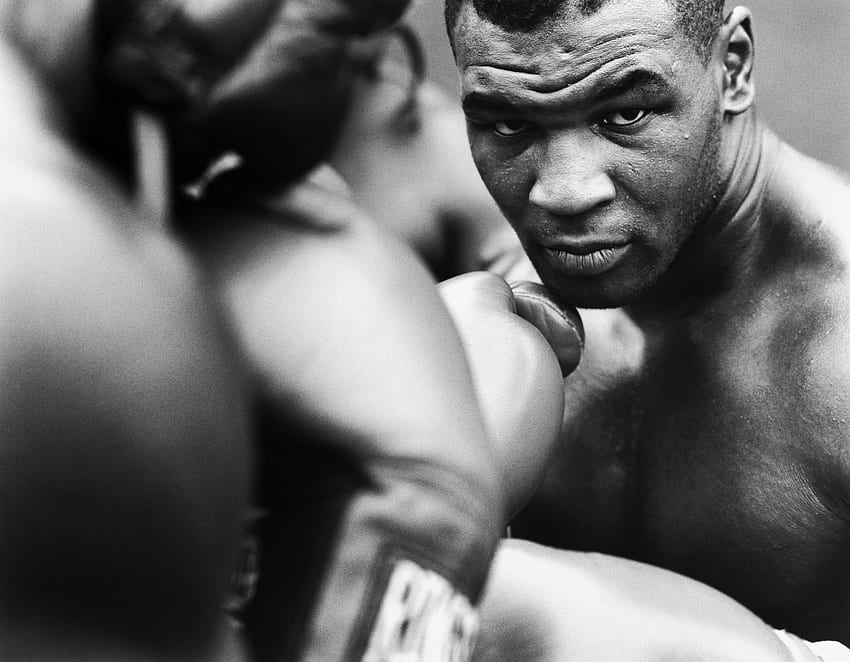 black and white gloves stare boxing mike tyson knockout People , Hi Res People , High Definition, Mike Tyson Art HD wallpaper