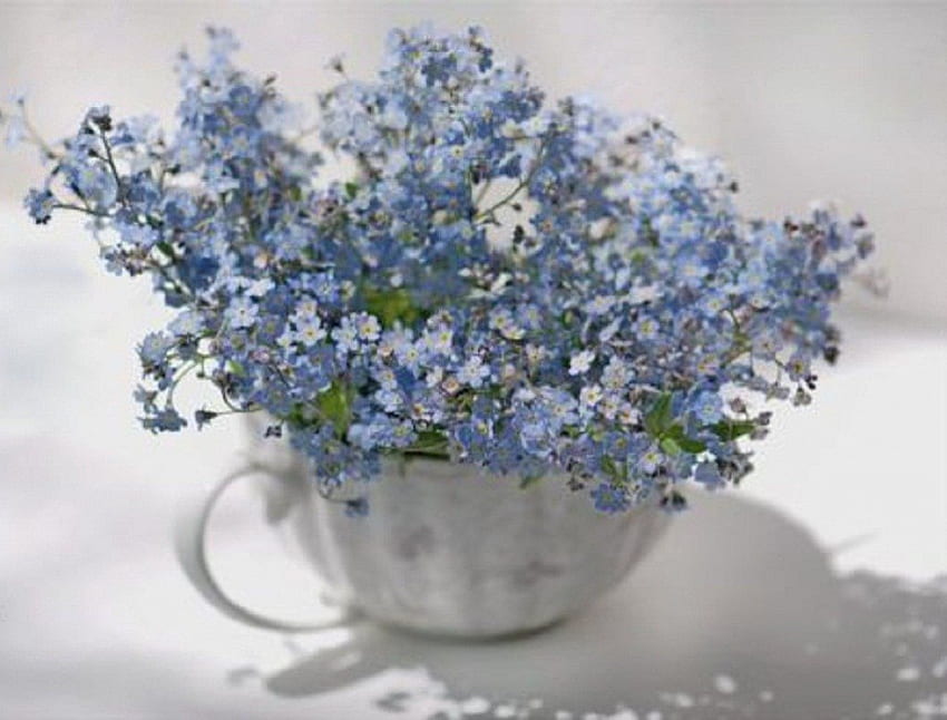 Forget me not, still life, flowers, teacup, abstract HD wallpaper
