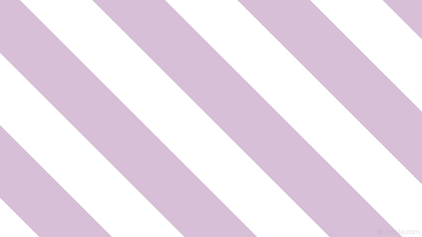 흰색 보라색 줄무늬 줄무늬 선 엉겅퀴 HD 월페이퍼