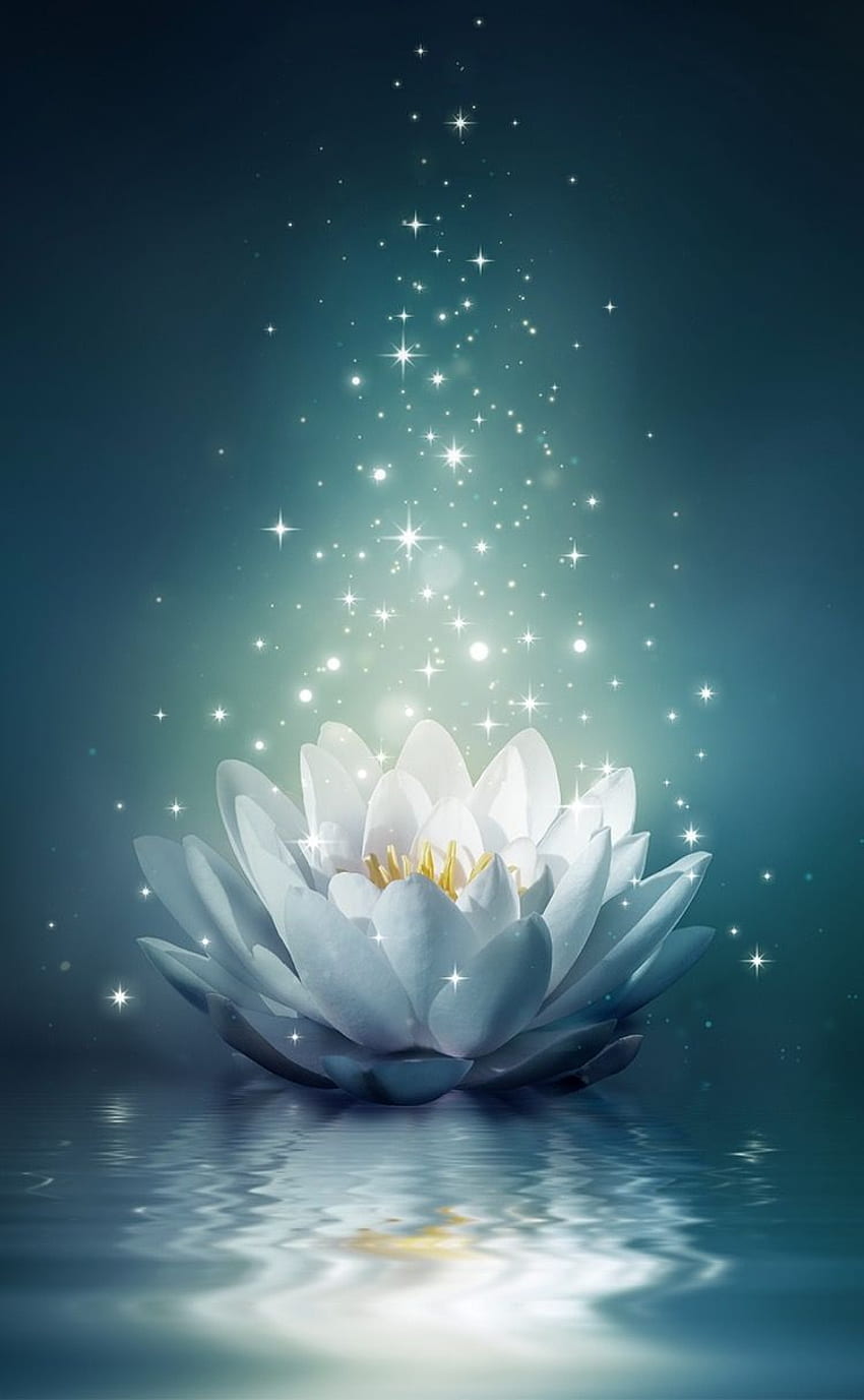 Fiore di loto, Buddha di loto blu Sfondo del telefono HD