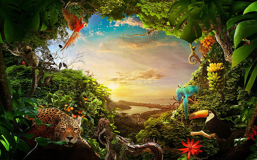 Rio De Janeiro, jungle, faune, animaux sauvages, Amérique du Sud, Brésil pour avec résolution . Haute qualité Fond d'écran HD