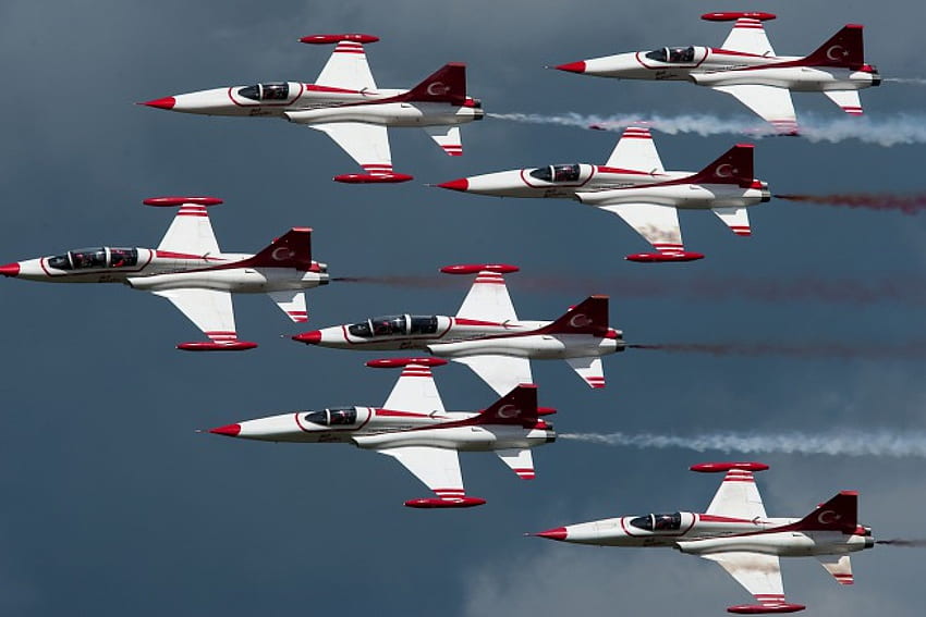 Northrop F-5 dom Fighters, jato, militar, aviões, avião, poder de fogo papel de parede HD