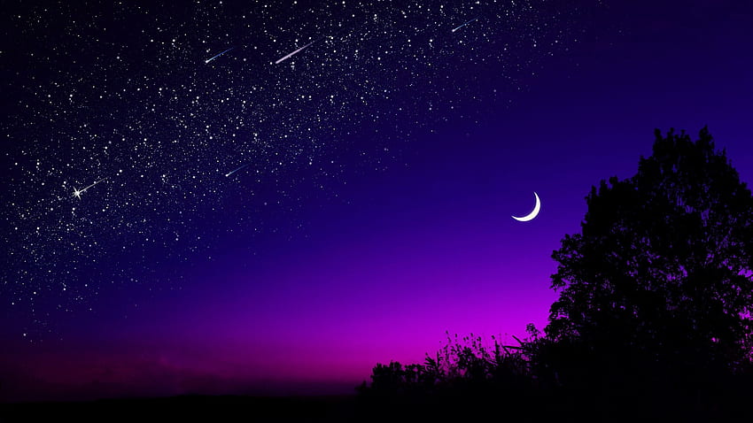 달, 나무, 별이 빛나는 하늘, 밤, 별, 어두운 와이드 스크린 16:9 배경, 별이 빛나는 밤 미학 HD 월페이퍼