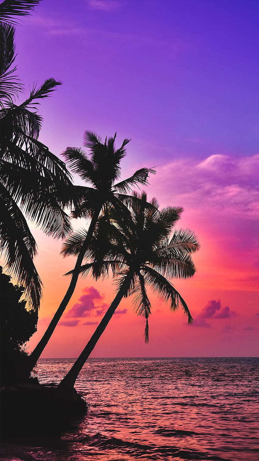 () お使いの携帯電話用のビーチ & . ビーチ、サンセット、ヤシの木の夕日、美しいビーチの夕日 HD電話の壁紙