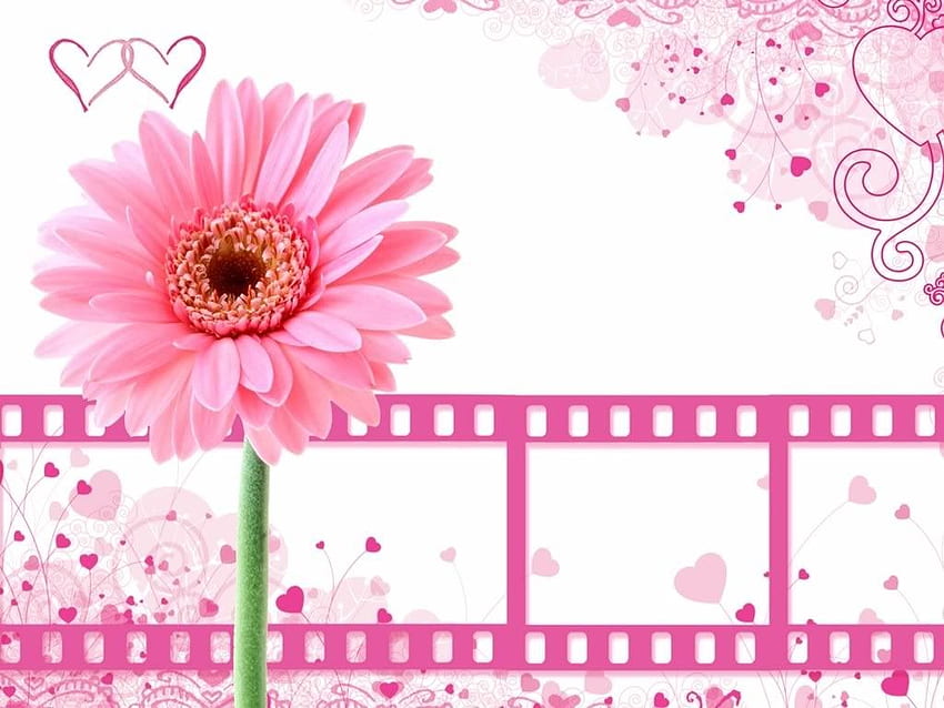 pink film strip. Pretty in Pink, Cute Girly Pink HD wallpaper