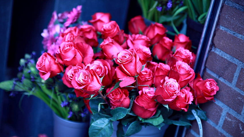 Fiori, rose, rosa, bouquet Sfondo HD