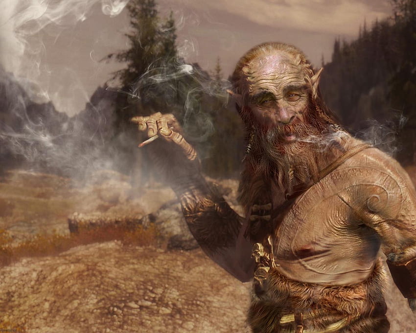 Elder Scrolls V: Skyrim Gemeinsame Drachengeborenen-Tundra HD-Hintergrundbild