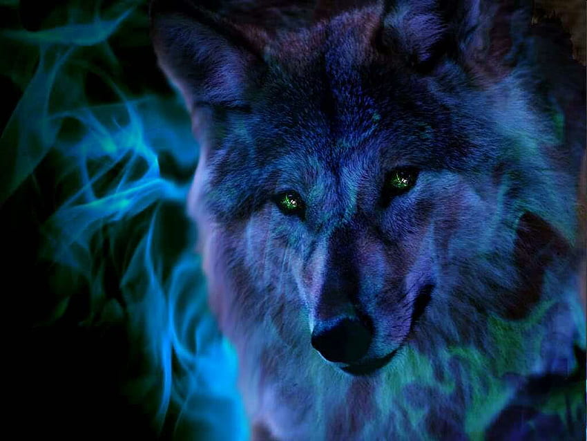 Yumika Wolf on WOLVES!!!!!!!!, Blue Spirit Wolf HD wallpaper