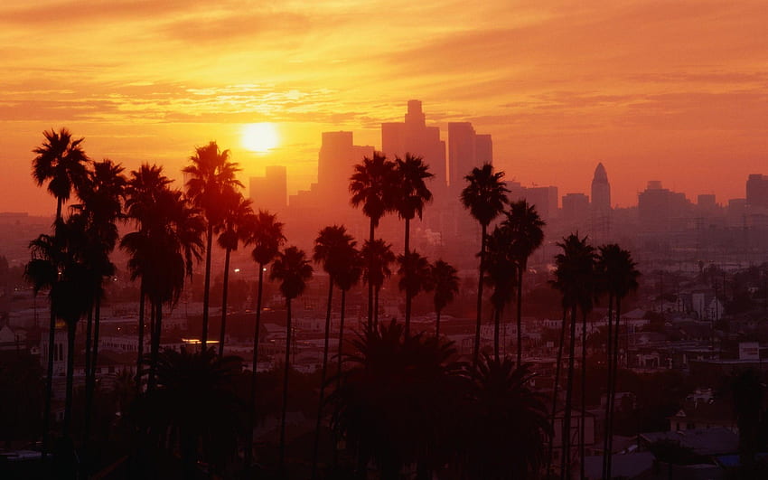 Los Angeles Sunset - 박쥐, California Palm Trees Sunset의 로스앤젤레스 일몰 배경 HD 월페이퍼