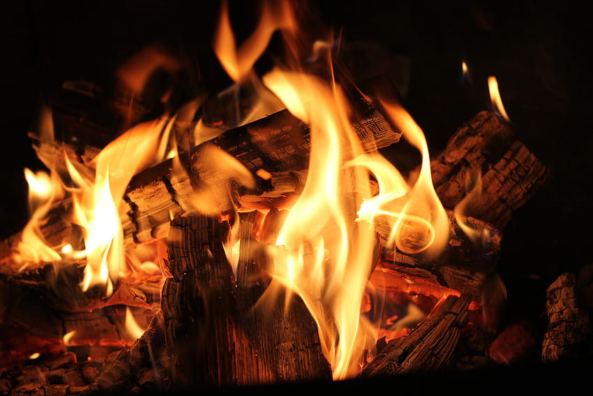Fire, Bonfire, Coals, Flame, , , Firewood HD wallpaper