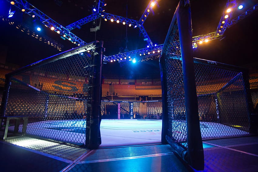 UFC Fight Night 82 prévu pour le 21 février au Consol Energy Center de Pittsburgh, UFC Cage Fond d'écran HD