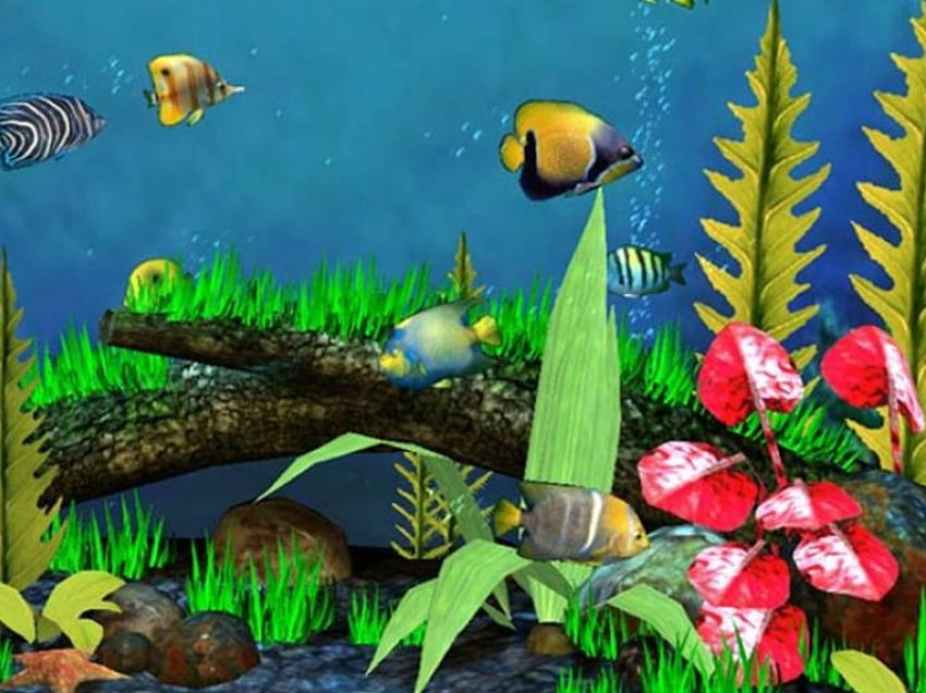 Reef Fish, coral reef, fish, ocean HD wallpaper