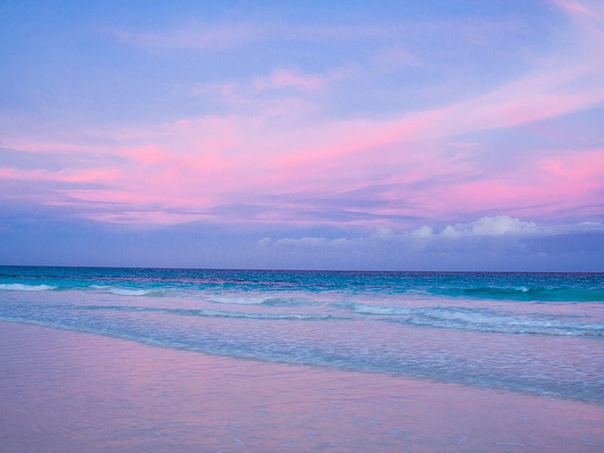 Różowa plaża, różowa piaszczysta plaża Tapeta HD