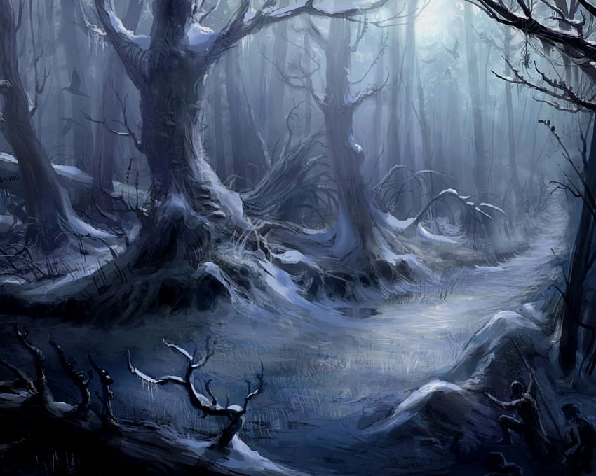 Espeluznante oscuro y , bosque oscuro y aterrador fondo de pantalla