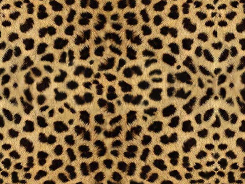Stampa leopardo, selvaggio, macchie, leopardo, esotico Sfondo HD
