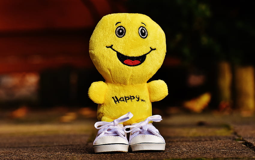 Toy, Smile, Emoticon, Smiley, Happiness HD wallpaper