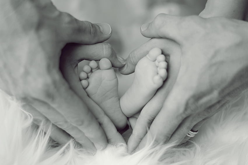 Love, Hands, Bw, Chb, Family, Child, Happiness HD wallpaper