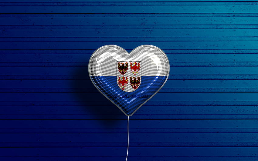 Kocham Trentino-Południowy Tyrol, realistyczne balony, niebieskie drewniane tło, Dzień Trentino-Południowego Tyrolu, włoskie regiony, flaga Trentino-Południowego Tyrolu, Włochy, balon z flagą, flaga Trentino-Południowego Tyrolu, Trentino-Południowy Tyrol Tapeta HD