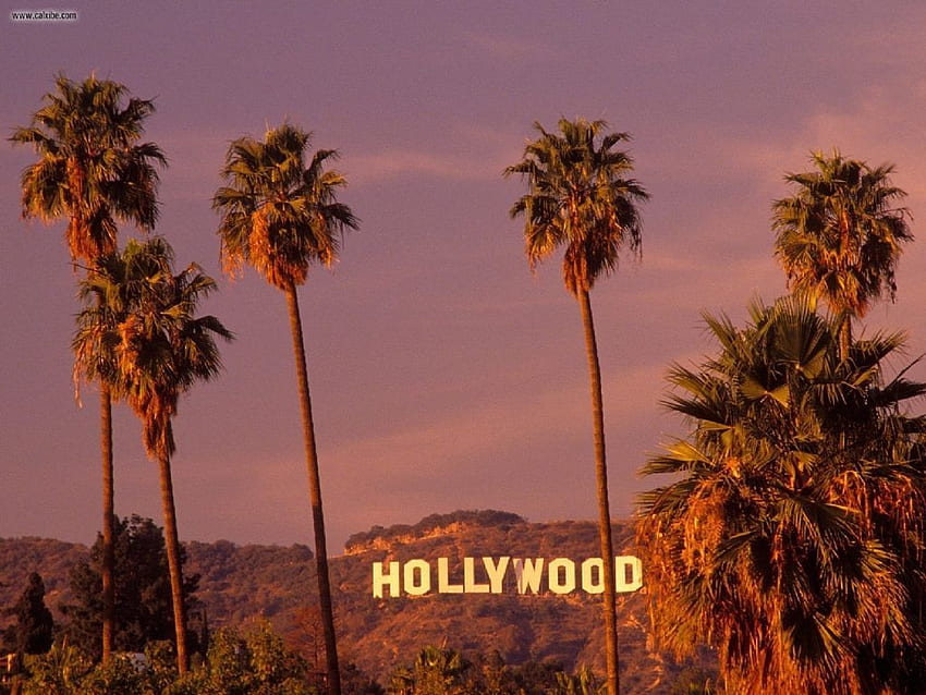 ハリウッドサインを見ると今でもワクワクします。 愚かな、私は知っている、ハリウッドヒルズ 高画質の壁紙