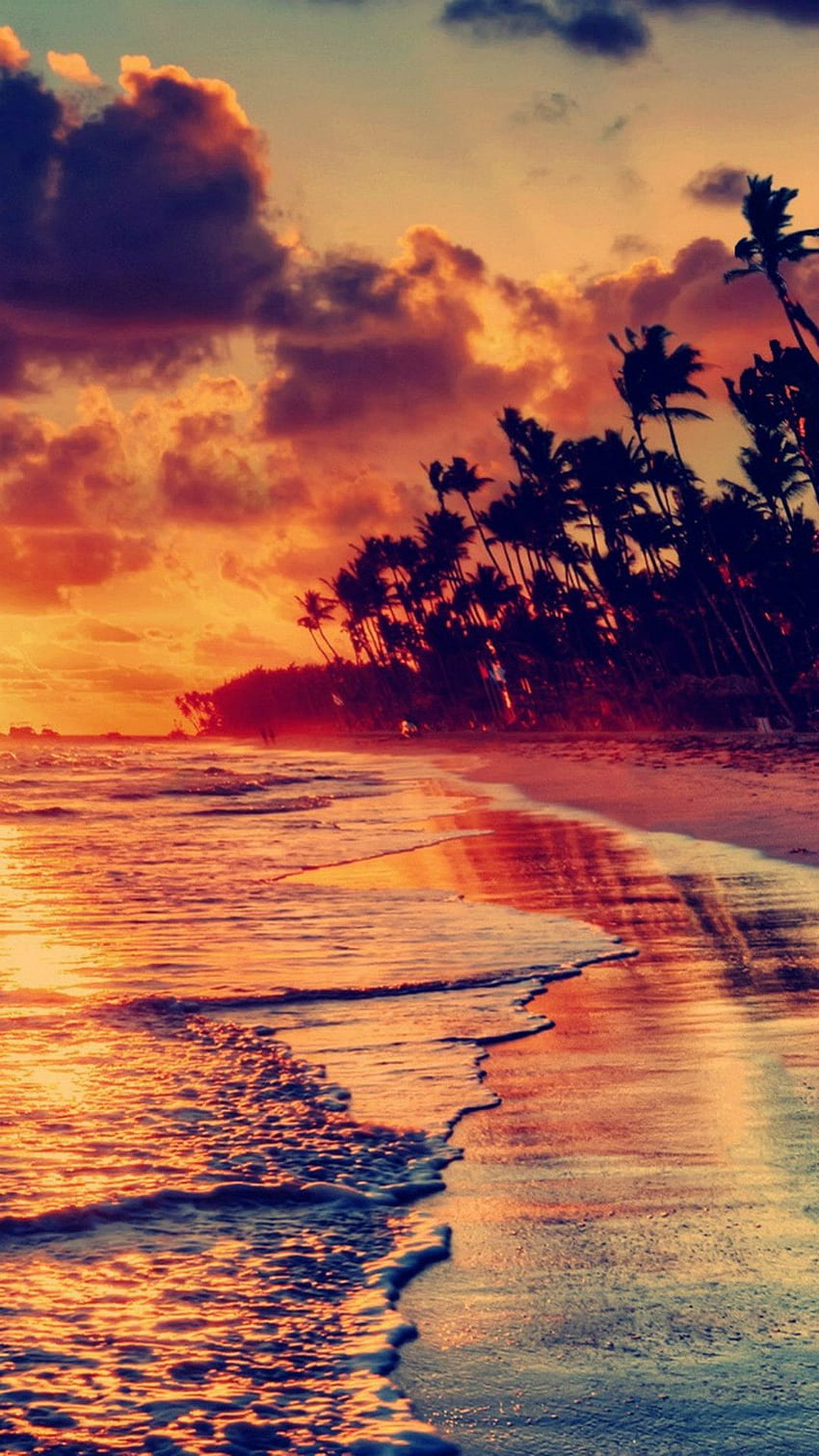 Feuer-Sonnenuntergang-Strand. iPhone iphone .pics HD-Handy-Hintergrundbild