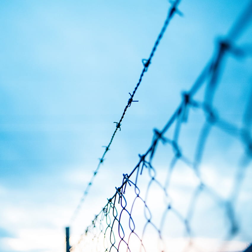 mesh, barbed wire, fence, fencing, Barbed Wire Fences HD phone wallpaper