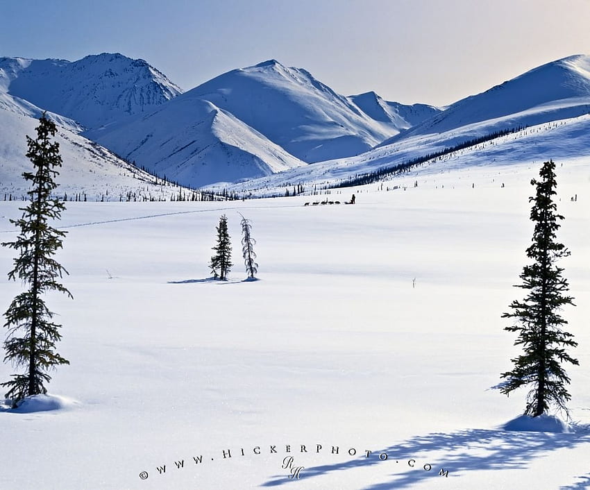 : Paesaggio invernale artico dell'Alaska, circolo polare artico Sfondo HD