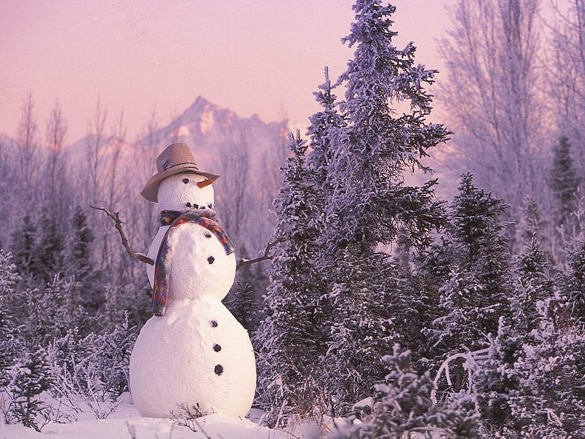 Frosty The Snowman, Country Snowman HD wallpaper